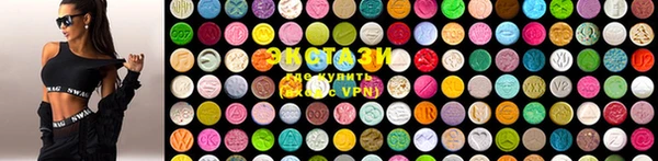 прущие грибы Аркадак