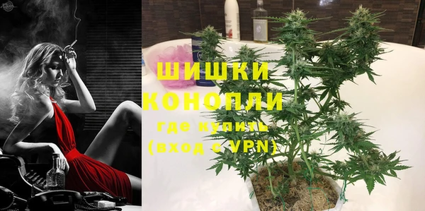 прущие грибы Аркадак