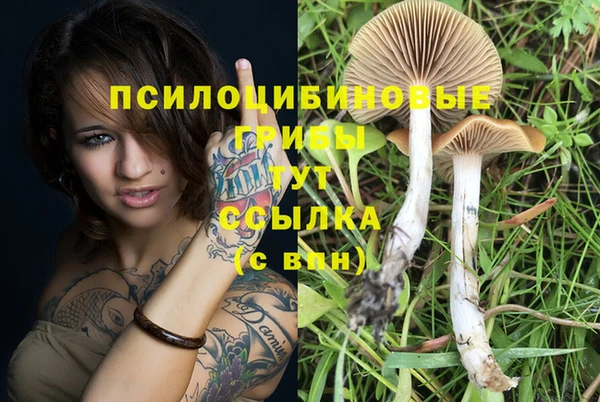 тгк Арсеньев
