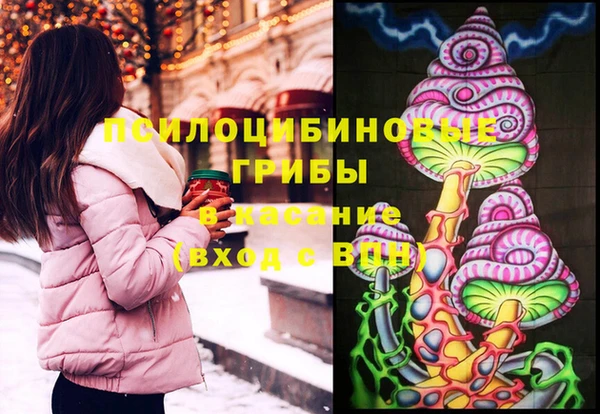 тгк Арсеньев