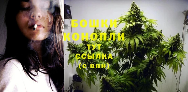 соль ск Краснослободск