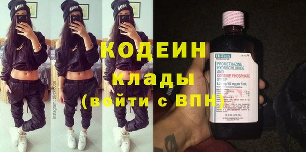 прущие грибы Аркадак