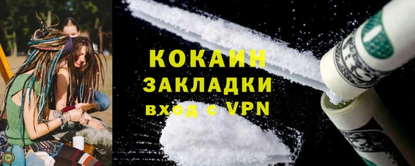 прущие грибы Аркадак