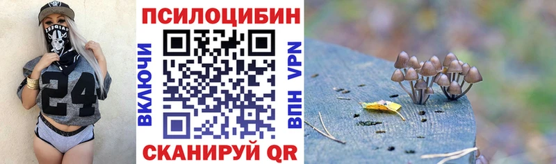 Галлюциногенные грибы Psilocybe  Белово 