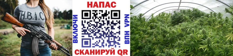Канабис ГИДРОПОН  OMG онион  Белово 